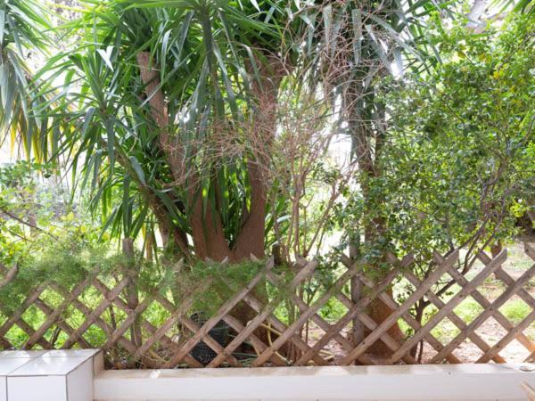 Апартаменты Vouliagmeni'S Secret Garden Near The Sea Афины Экстерьер фото